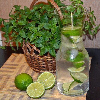 Mięta limonkowa