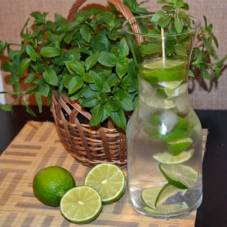 Mięta limonkowa