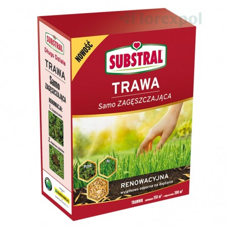 SUBSTRAL – Trawa RENOWACYJNA 3kg