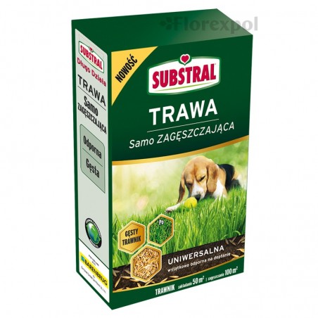 SUBSTRAL – Trawa UNIWERSALNA 1kg