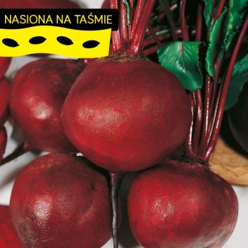 Burak Czerwona Kula na taśmie
