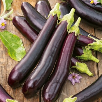 Bakłażan Early Long Purple 3 nasiona 1g
