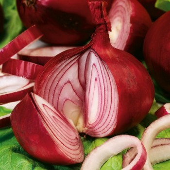 Cebula Karmen nasiona 1g