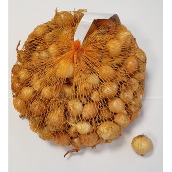  Cebula dymka – STUTTGARTER (roz. 8-21mm) 0,5kg