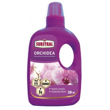 Nawóz do orchidei Substral 250 ml