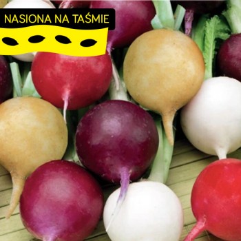 Rzodkiewka Mieszanka odmian...