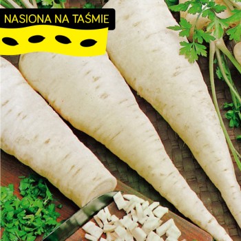 Pietruszka Konika na taśmie