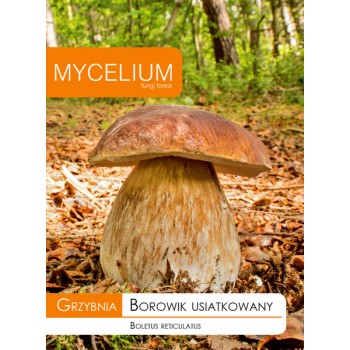 Grzybnia Borowik...