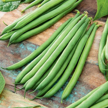 Fasola Jaga nasiona 20g