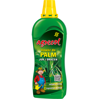 Nawóz do palm, juk i dracen...