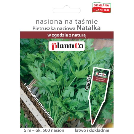 Pietruszka liściowa Natalka na taśmie 5m