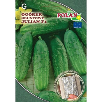 Ogórek gruntowy Julian -...