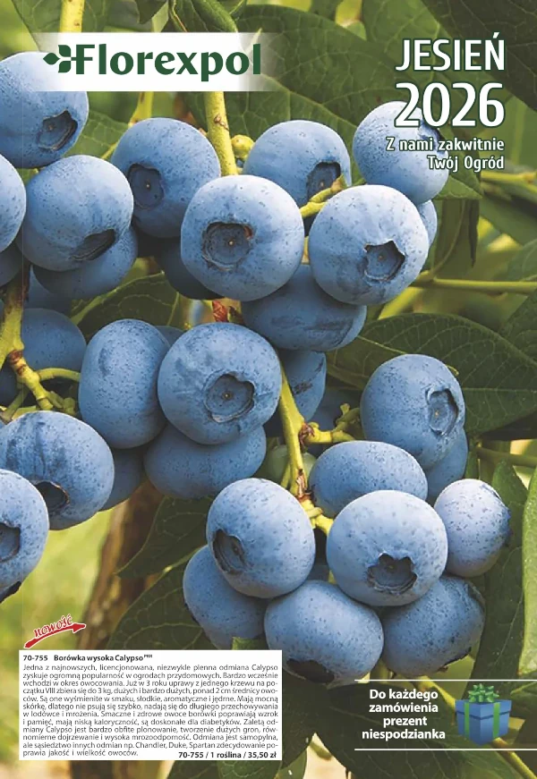 Katalog FlorexPol Jesień 2026